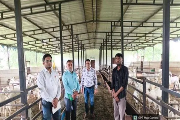 बकरी पालन शेड में खड़े चार लोग और दोनों ओर बने बाड़ों में मौजूद बकरियां