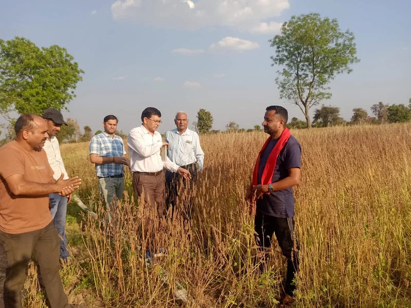आधा एकड़ के प्रयोग से 5 एकड़ की उड़ान चिया ने संदीप तिवारी के लिए खोली मुनाफे की राह प्राकृतिक खेती और…